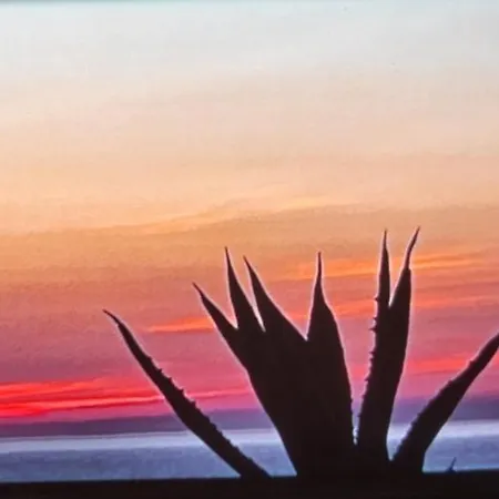 Il Timone 4* Porto San Giorgio