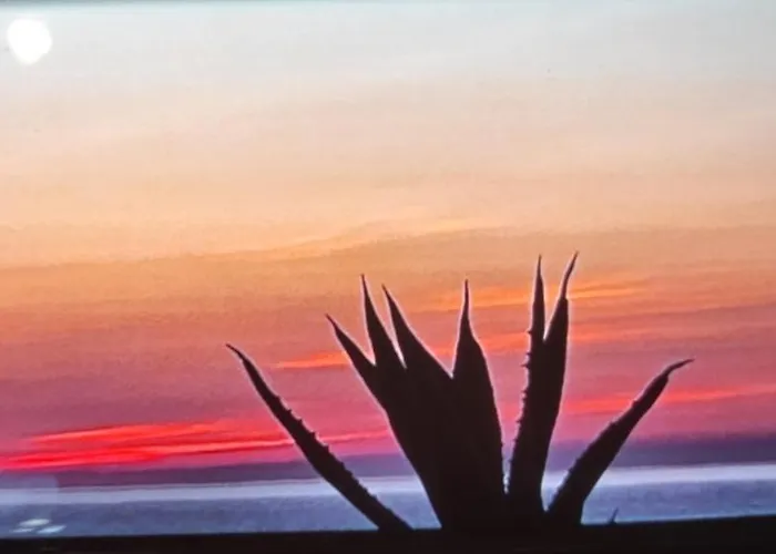 Il Timone 4* Porto San Giorgio